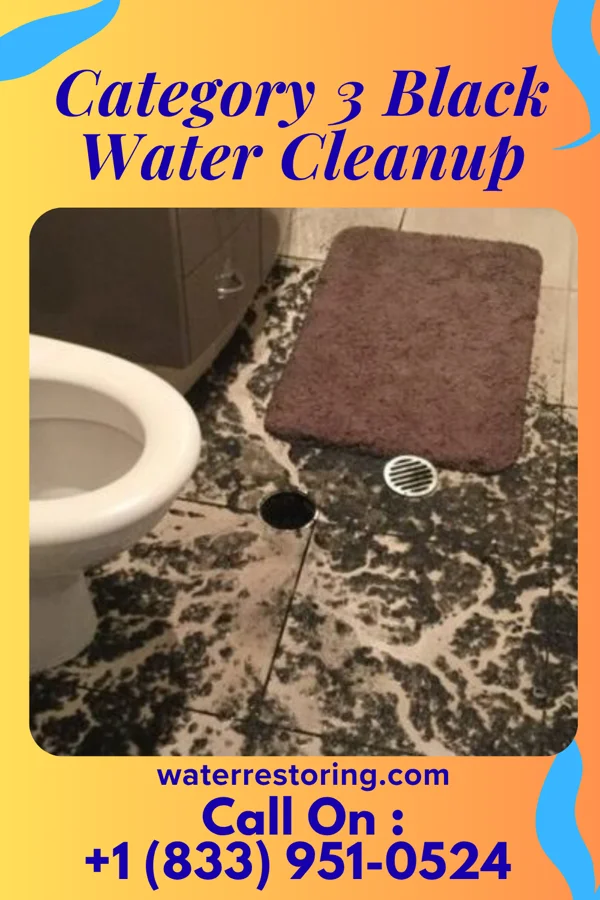 Category 3 Black Water Cleanup in Saxtons River, VT