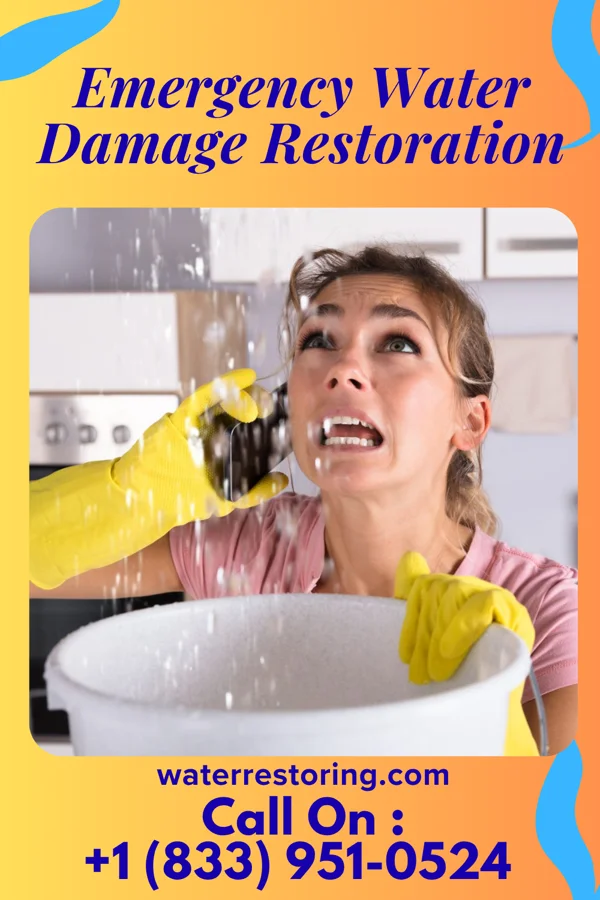 Emergency Water Damage Restoration in Saxtons River, VT