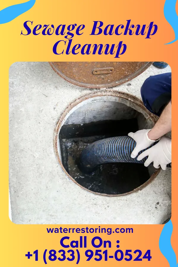 Sewage Backup Cleanup in Saxtons River, VT