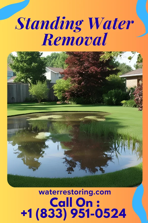 Standing Water Removal in Saxtons River, VT